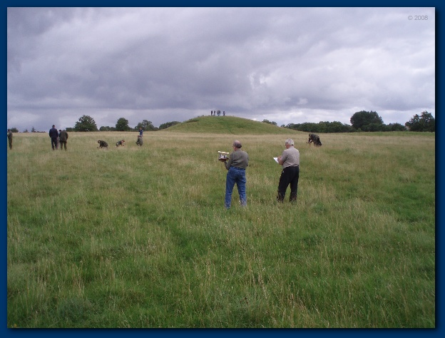 600x449 pixels (112K)